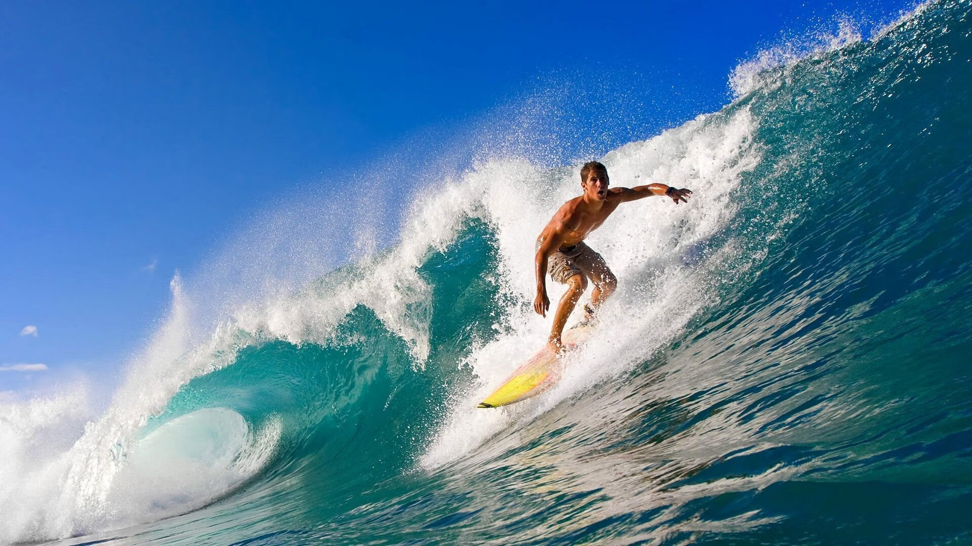 季后赛万众瞩目,谁能挺到最后?,季后赛列表