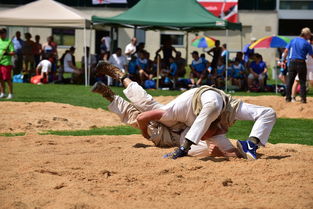 Kaiyun官方登录入口-赵鸿刚无法代表通背拳，他本是跑酷选手，绑定传武成网红扬名捷径